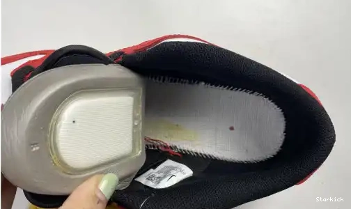 Low years 309242-307 25th Nike SB Dunk 0613